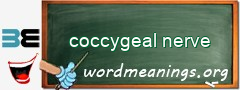 WordMeaning blackboard for coccygeal nerve